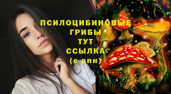 таблы Вязьма