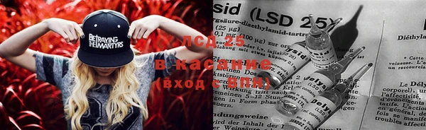 спайс Вязники