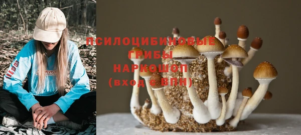 таблы Вязьма