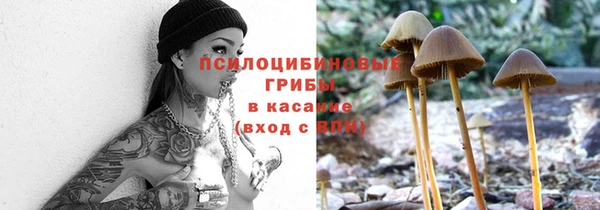 а пвп мука Вяземский
