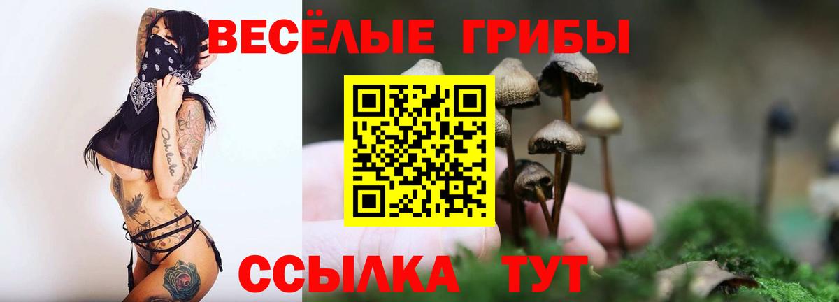 Псилоцибиновые грибы прущие грибы Елец
